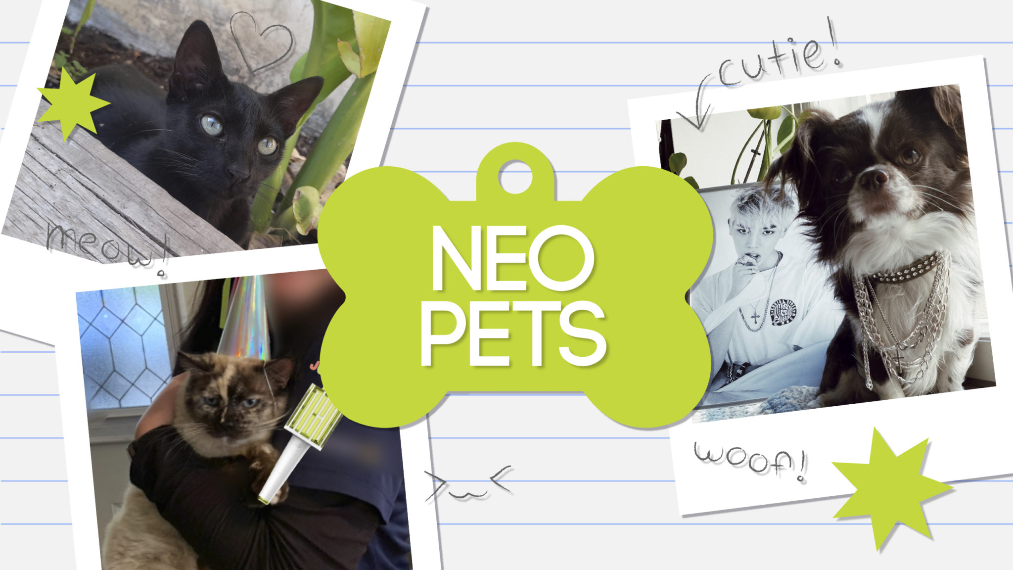 Neo Pets Summer 2021 EnVi Media