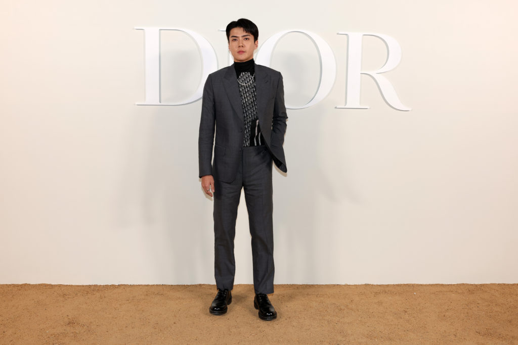 The 'Saddle' Bags of the Dior Winter 2021-2022 Men's Collection  Mens  luxury fashion, Christian dior fashion, Menswear inspired