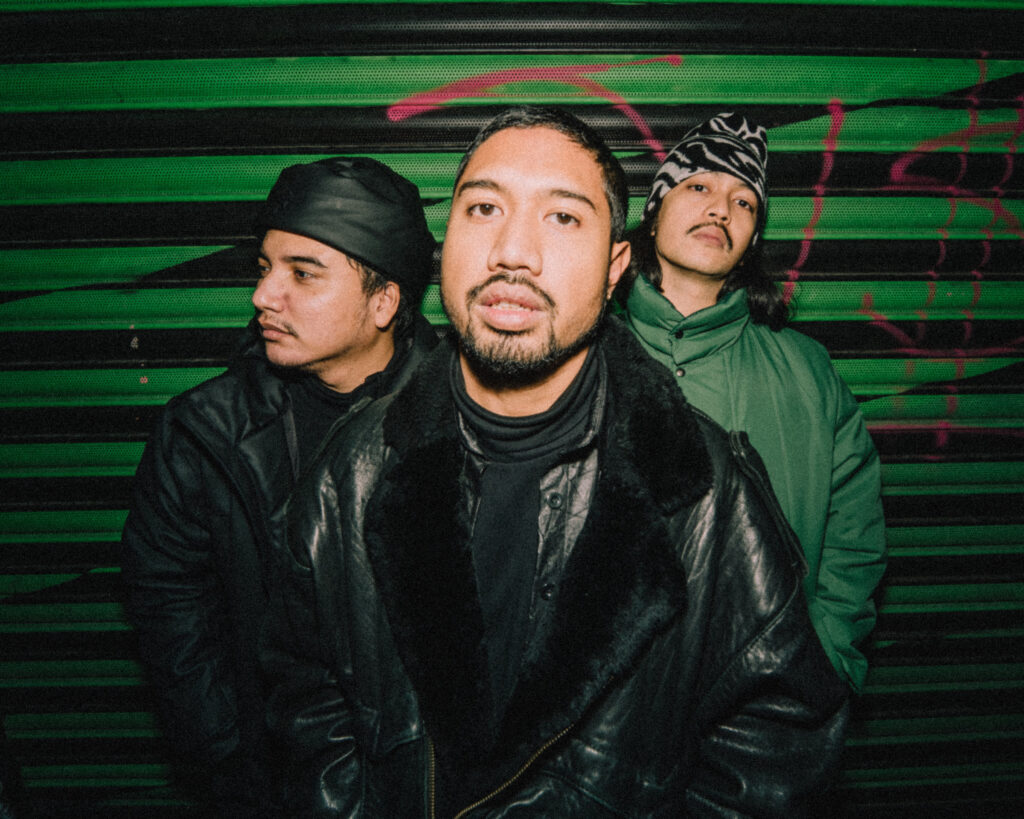 Elephant Kind close up photo